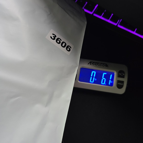 Champion Script Logo T-Shirt Mens Small Blue Good Short Sleeve Athletic Tee - Picture 6 of 6